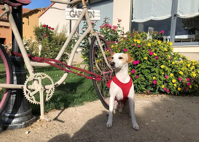 ゲストハウス Amanecer En Campos