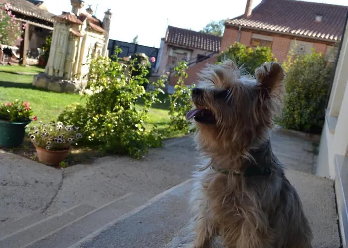 Amanecer En Campos ゲストハウス 3*